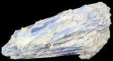 Kyanite Crystals with Quartz - Brazil #44988-1